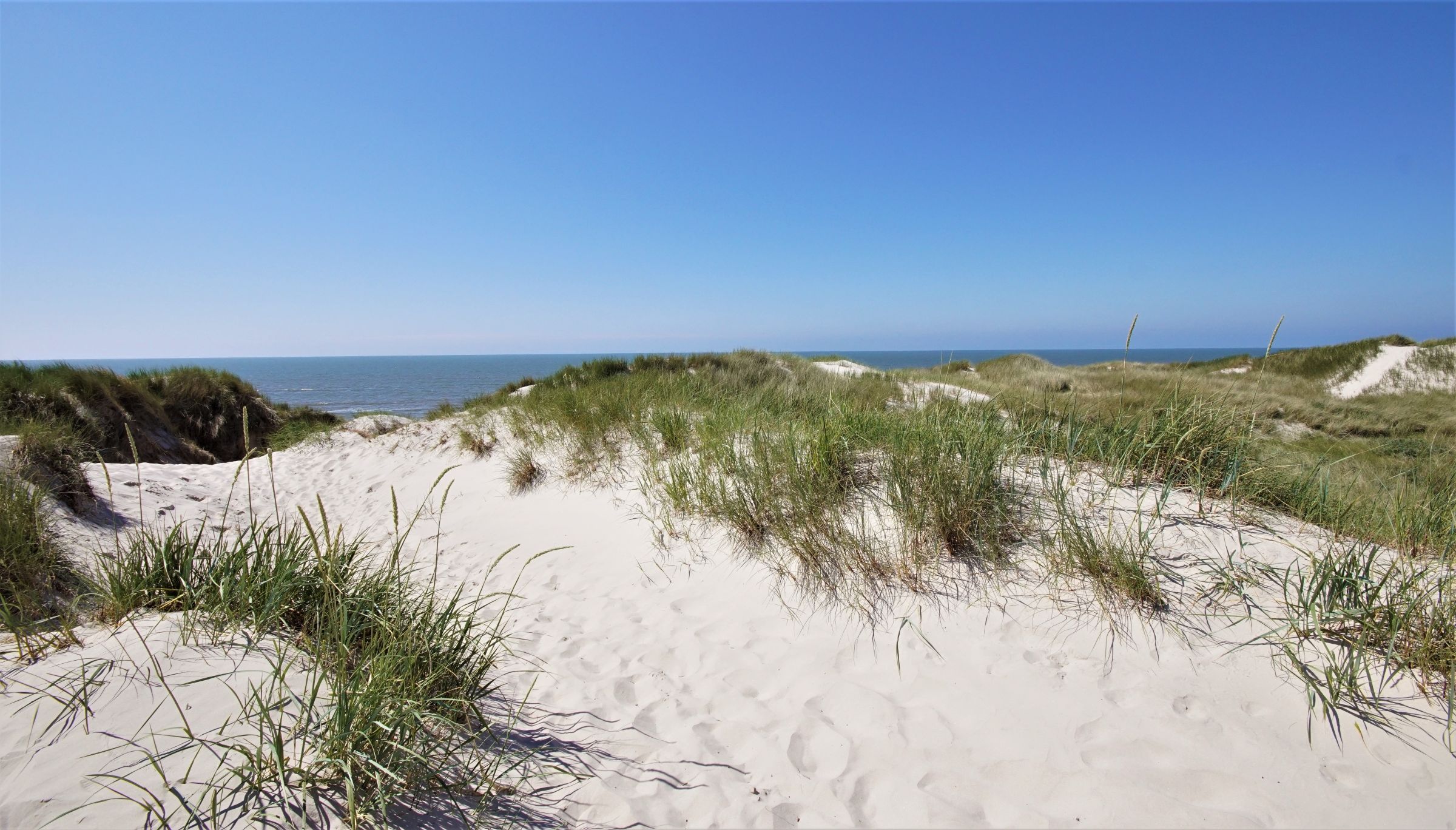 Düne Vejers Strand